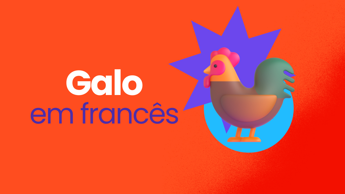 galo em frances